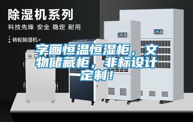 字畫(huà)恒溫恒濕柜，文物儲(chǔ)藏柜，非標(biāo)設(shè)計(jì)定制！