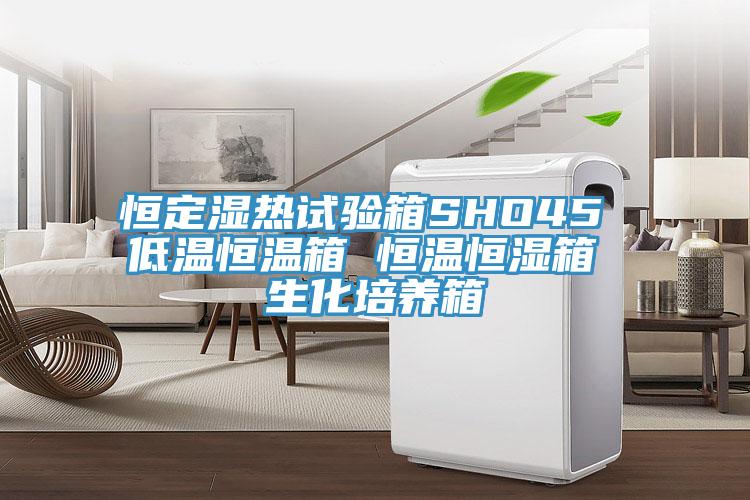 恒定濕熱試驗箱SHO45 低溫恒溫箱 恒溫恒濕箱 生化培養(yǎng)箱