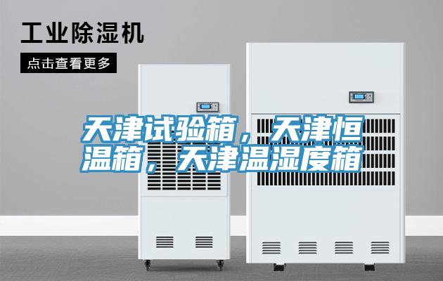天津試驗箱，天津恒溫箱，天津溫濕度箱