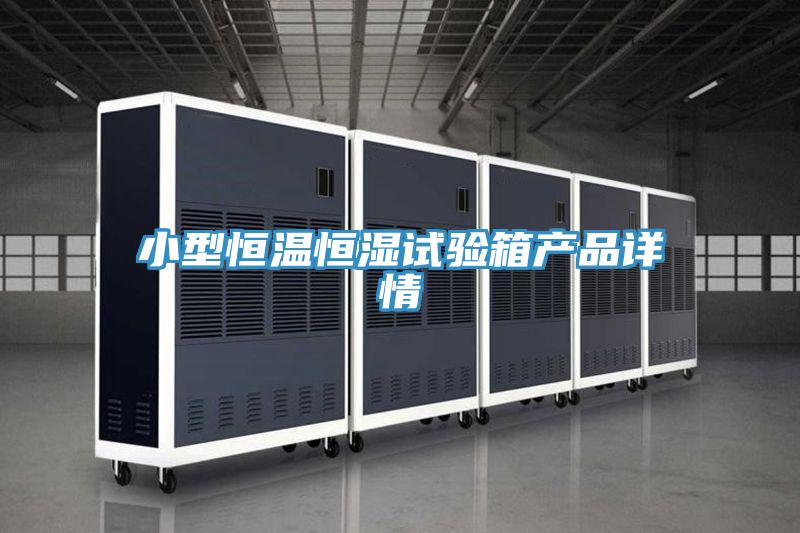 小型恒溫恒濕試驗箱產(chǎn)品詳情