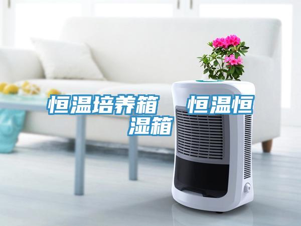 恒溫培養(yǎng)箱  恒溫恒濕箱