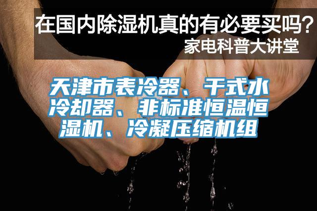 天津市表冷器、干式水冷卻器、非標(biāo)準(zhǔn)恒溫恒濕機(jī)、冷凝壓縮機(jī)組