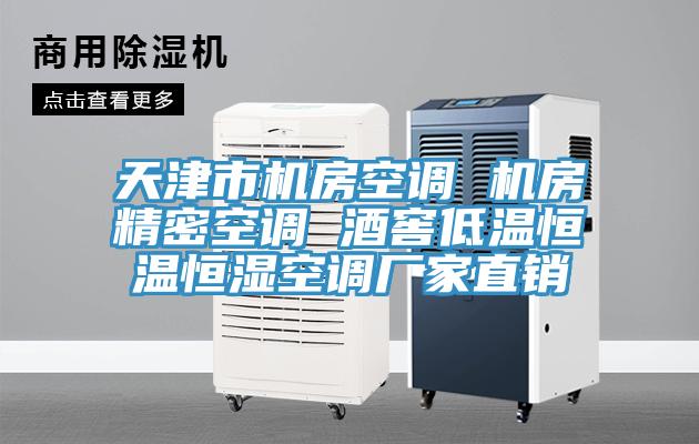 天津市機(jī)房空調(diào) 機(jī)房精密空調(diào) 酒窖低溫恒溫恒濕空調(diào)廠家直銷