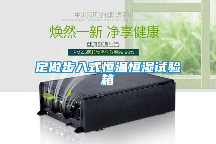 定做步入式恒溫恒濕試驗箱