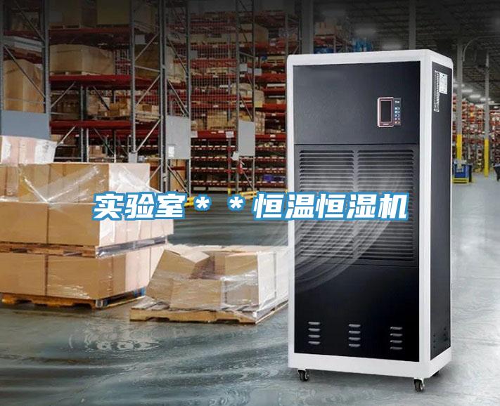 實(shí)驗(yàn)室＊＊恒溫恒濕機(jī)