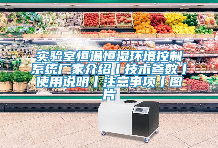 實(shí)驗(yàn)室恒溫恒濕環(huán)境控制系統(tǒng)廠家介紹丨技術(shù)參數(shù)丨使用說(shuō)明丨注意事項(xiàng)丨圖片
