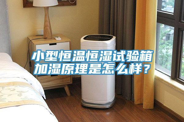 小型恒溫恒濕試驗(yàn)箱加濕原理是怎么樣？