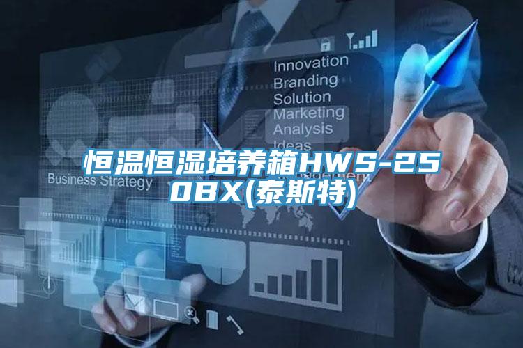 恒溫恒濕培養(yǎng)箱HWS-250BX(泰斯特)