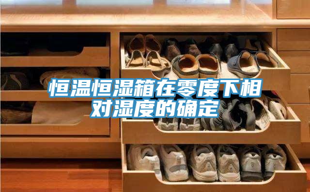 恒溫恒濕箱在零度下相對(duì)濕度的確定