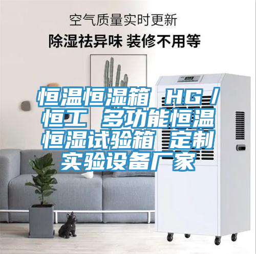 恒溫恒濕箱 HG／恒工 多功能恒溫恒濕試驗箱 定制實驗設(shè)備廠家