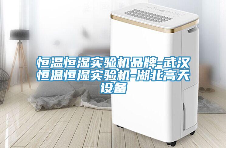 恒溫恒濕實(shí)驗(yàn)機(jī)品牌-武漢恒溫恒濕實(shí)驗(yàn)機(jī)-湖北高天設(shè)備