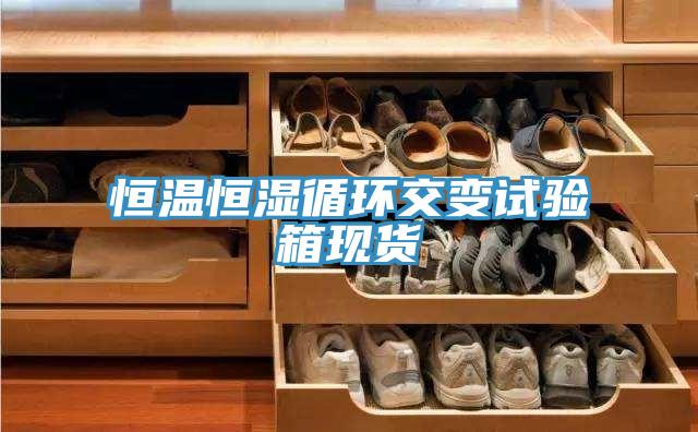 恒溫恒濕循環(huán)交變?cè)囼?yàn)箱現(xiàn)貨