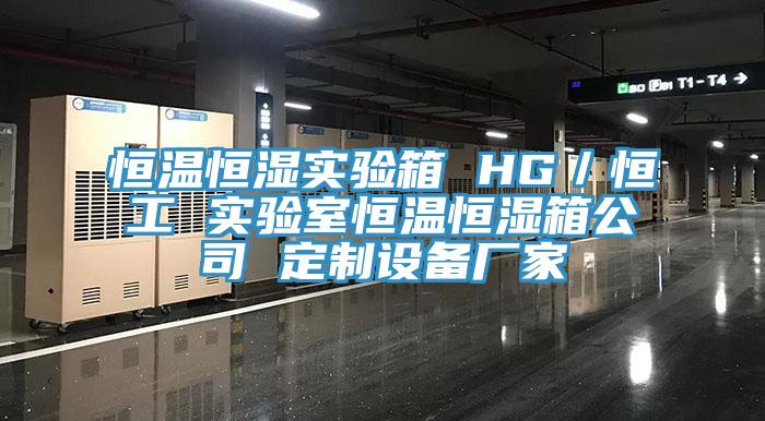 恒溫恒濕實(shí)驗(yàn)箱 HG／恒工 實(shí)驗(yàn)室恒溫恒濕箱公司 定制設(shè)備廠家