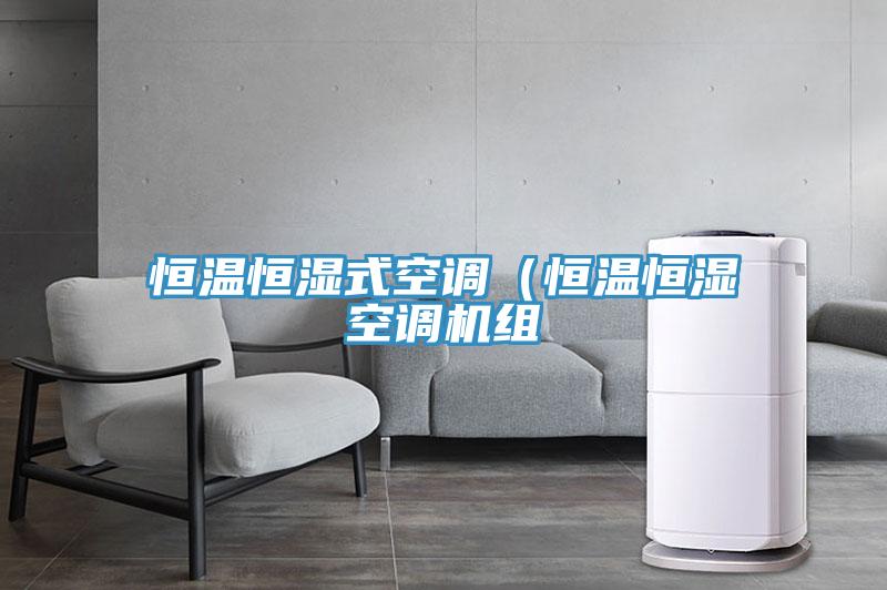 恒溫恒濕式空調(diào)（恒溫恒濕空調(diào)機(jī)組