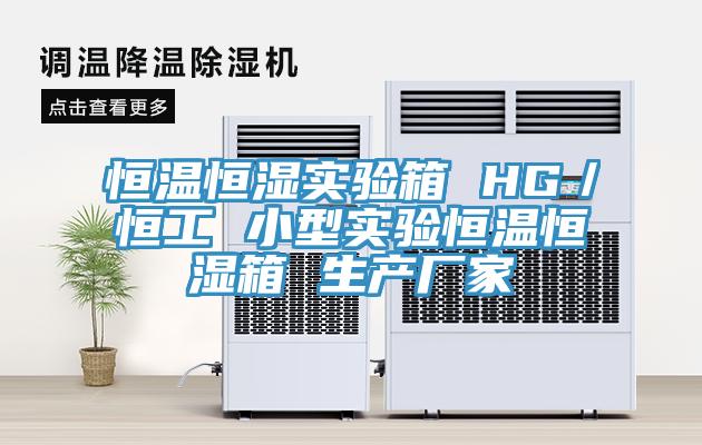 恒溫恒濕實(shí)驗(yàn)箱 HG／恒工 小型實(shí)驗(yàn)恒溫恒濕箱 生產(chǎn)廠家