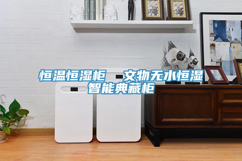 恒溫恒濕柜  文物無水恒濕智能典藏柜