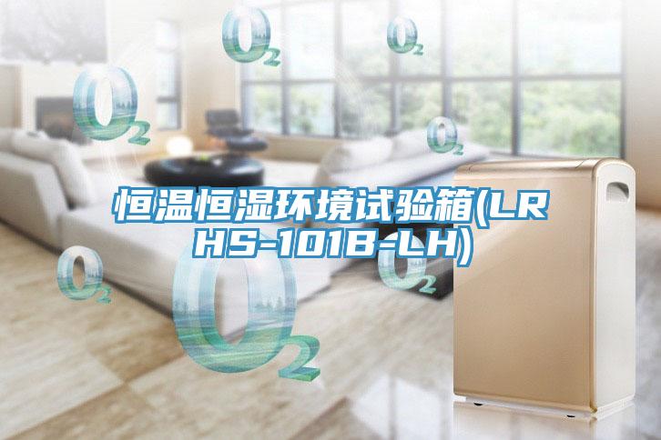 恒溫恒濕環(huán)境試驗箱(LRHS-101B-LH)