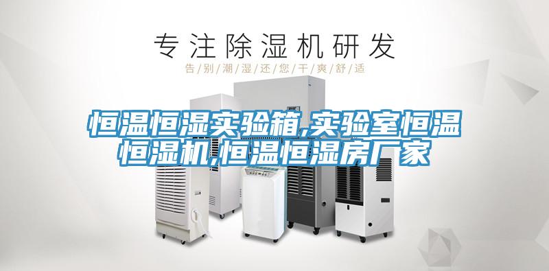 恒溫恒濕實(shí)驗(yàn)箱,實(shí)驗(yàn)室恒溫恒濕機(jī),恒溫恒濕房廠家