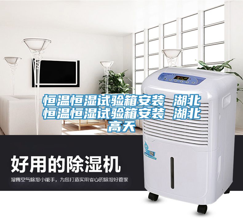 恒溫恒濕試驗(yàn)箱安裝 湖北恒溫恒濕試驗(yàn)箱安裝 湖北高天