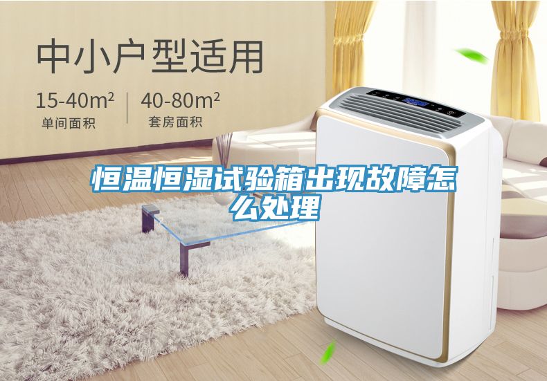 恒溫恒濕試驗(yàn)箱出現(xiàn)故障怎么處理