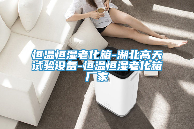 恒溫恒濕老化箱-湖北高天試驗設備-恒溫恒濕老化箱廠家