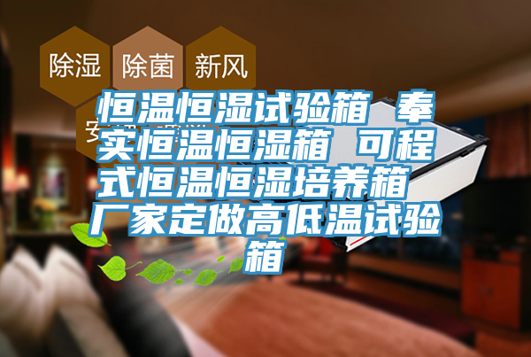 恒溫恒濕試驗(yàn)箱 奉實(shí)恒溫恒濕箱 可程式恒溫恒濕培養(yǎng)箱 廠家定做高低溫試驗(yàn)箱