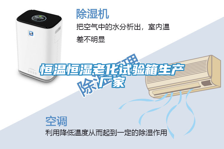 恒溫恒濕老化試驗箱生產廠家