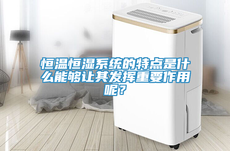 恒溫恒濕系統(tǒng)的特點(diǎn)是什么能夠讓其發(fā)揮重要作用呢？