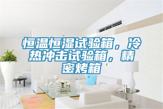 恒溫恒濕試驗(yàn)箱，冷熱沖擊試驗(yàn)箱，精密烤箱