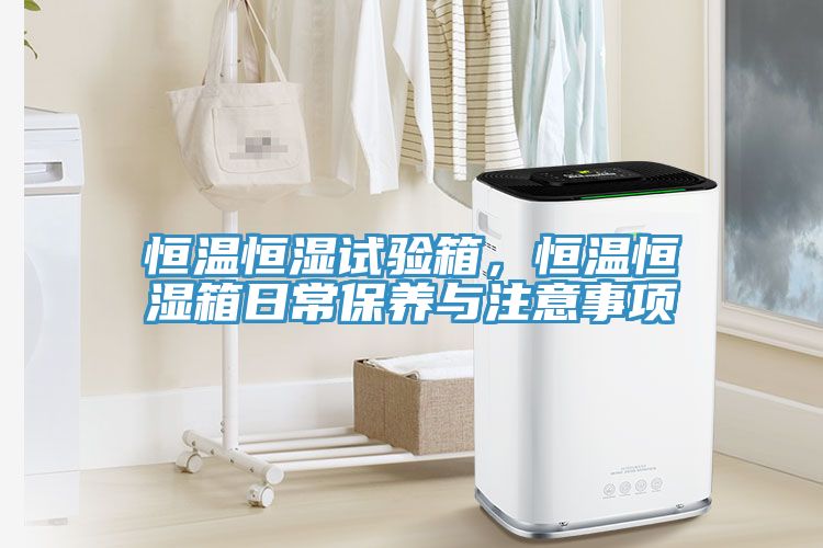 恒溫恒濕試驗(yàn)箱，恒溫恒濕箱日常保養(yǎng)與注意事項(xiàng)