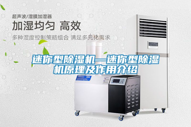 迷你型除濕機—迷你型除濕機原理及作用介紹