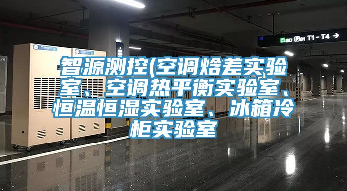 智源測(cè)控(空調(diào)焓差實(shí)驗(yàn)室、空調(diào)熱平衡實(shí)驗(yàn)室、恒溫恒濕實(shí)驗(yàn)室、冰箱冷柜實(shí)驗(yàn)室