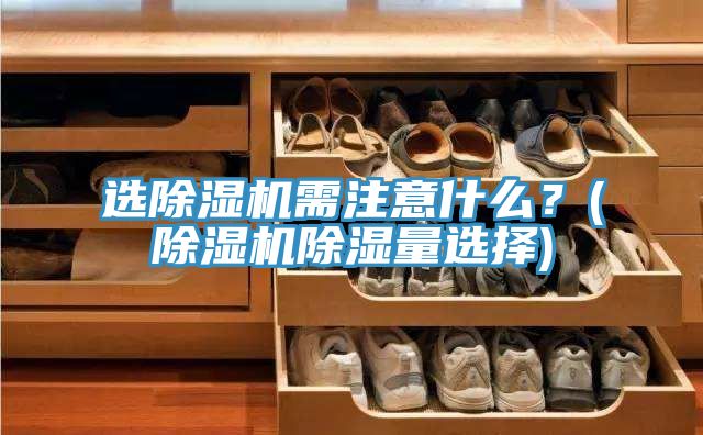 選除濕機(jī)需注意什么？(除濕機(jī)除濕量選擇)