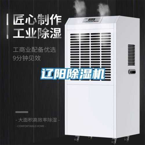 遼陽除濕機