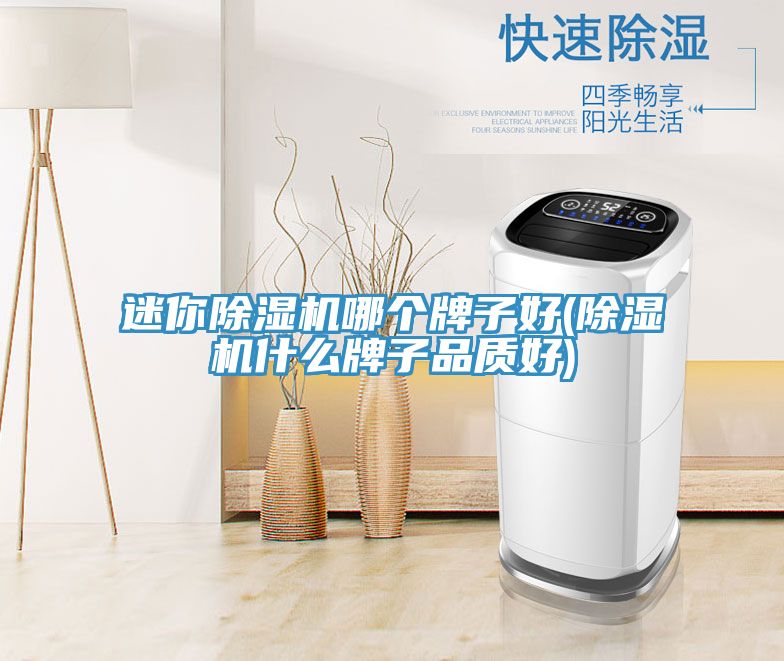 迷你除濕機哪個牌子好(除濕機什么牌子品質好)