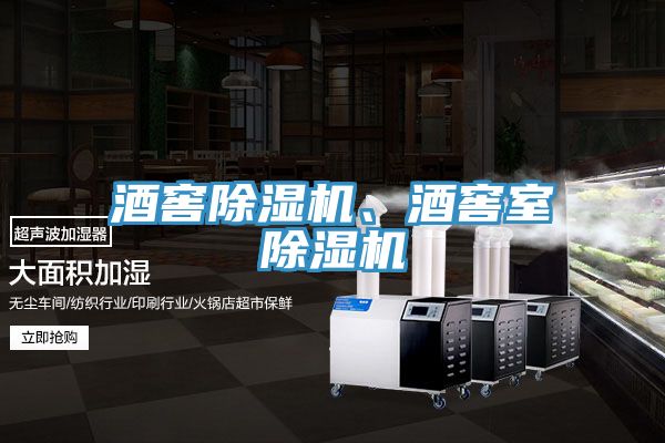 酒窖除濕機(jī)、酒窖室除濕機(jī)