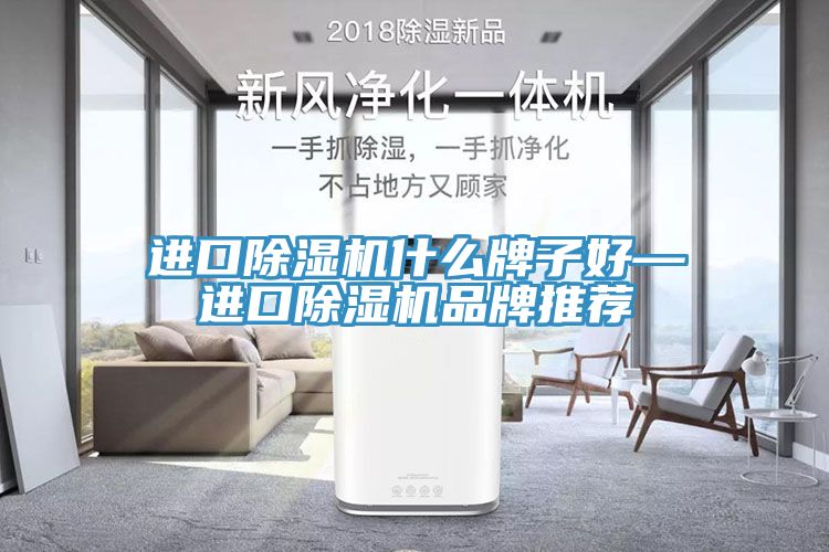 進(jìn)口除濕機(jī)什么牌子好—進(jìn)口除濕機(jī)品牌推薦