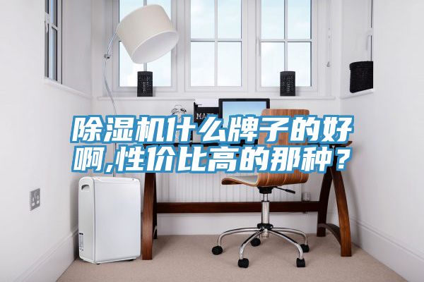 除濕機(jī)什么牌子的好啊,性價(jià)比高的那種？
