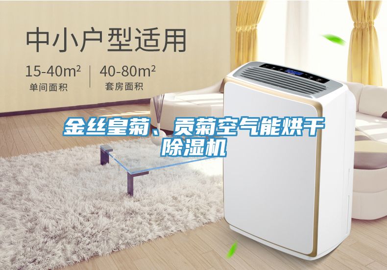 金絲皇菊、貢菊空氣能烘干除濕機(jī)