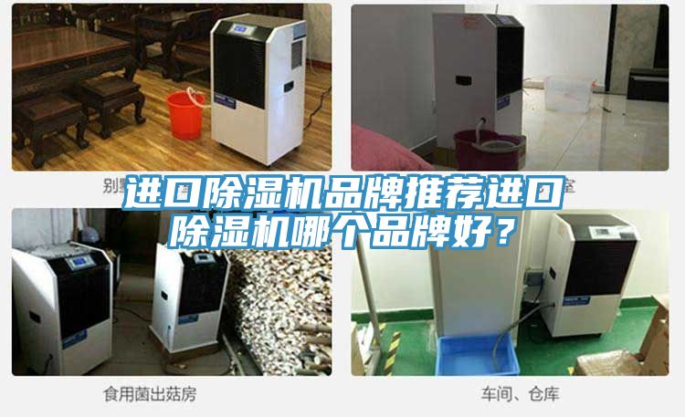 進(jìn)口除濕機(jī)品牌推薦進(jìn)口除濕機(jī)哪個品牌好？