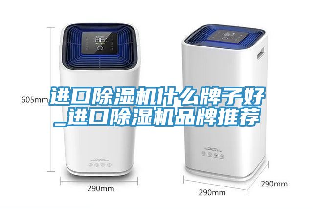 進(jìn)口除濕機(jī)什么牌子好_進(jìn)口除濕機(jī)品牌推薦