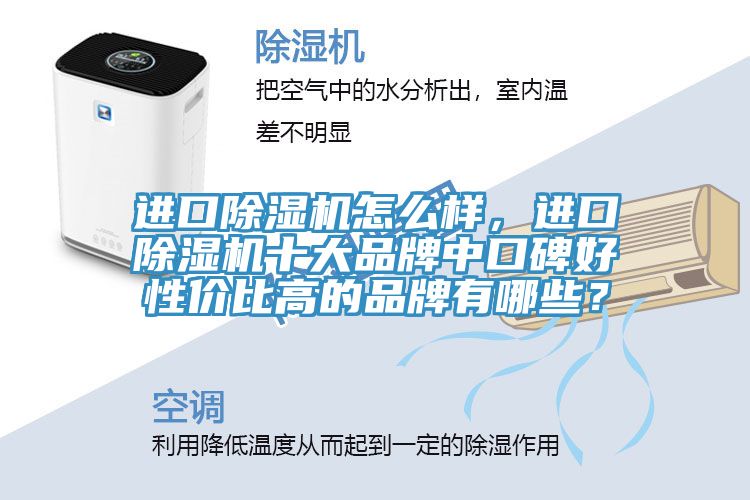 進(jìn)口除濕機(jī)怎么樣，進(jìn)口除濕機(jī)十大品牌中口碑好性?xún)r(jià)比高的品牌有哪些？