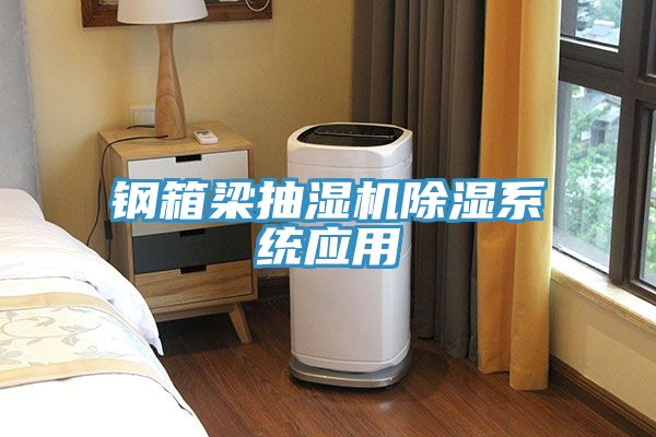鋼箱梁抽濕機除濕系統(tǒng)應(yīng)用