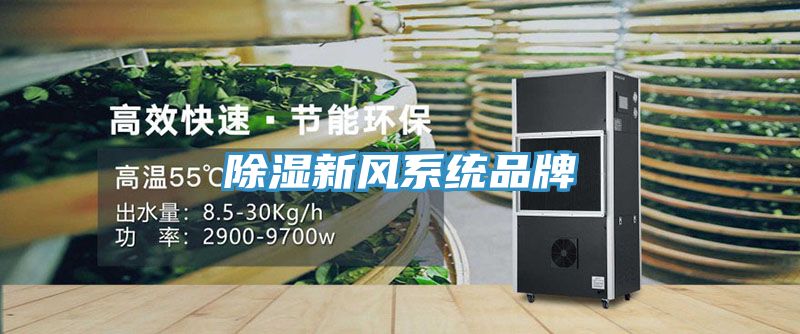 除濕新風系統(tǒng)品牌