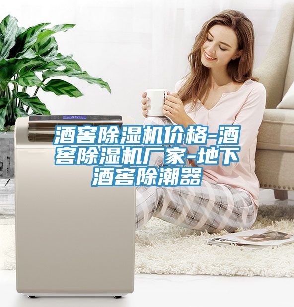酒窖除濕機(jī)價(jià)格-酒窖除濕機(jī)廠家-地下酒窖除潮器