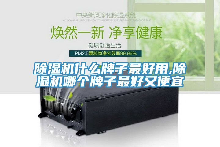 除濕機(jī)什么牌子最好用,除濕機(jī)哪個牌子最好又便宜