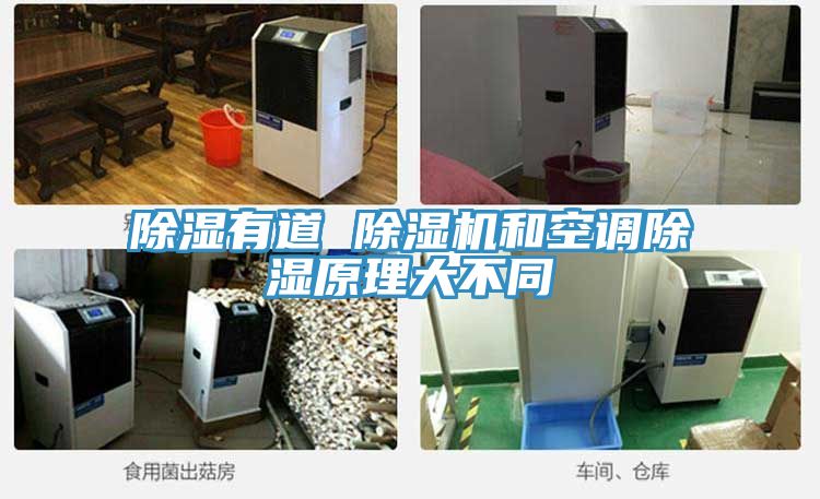 除濕有道 除濕機和空調除濕原理大不同