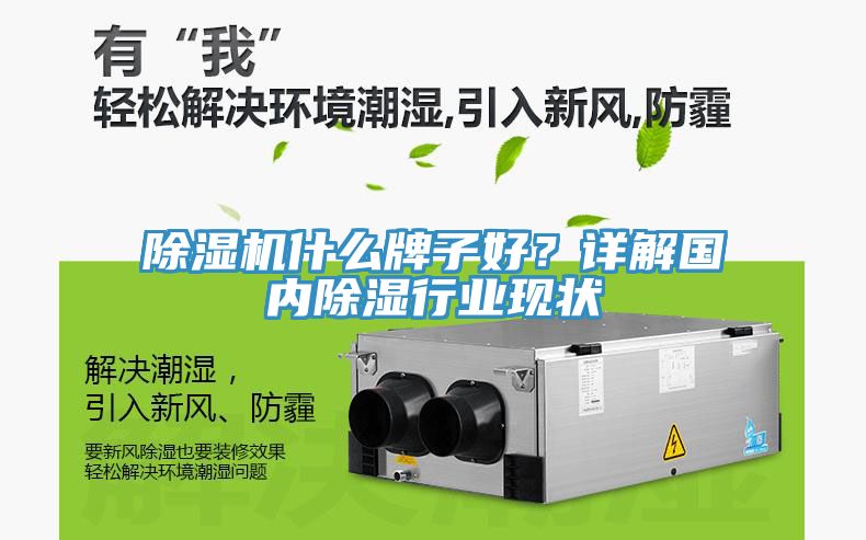除濕機(jī)什么牌子好？詳解國內(nèi)除濕行業(yè)現(xiàn)狀