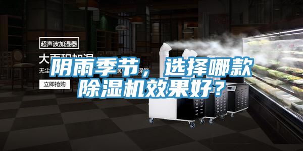 陰雨季節(jié)，選擇哪款除濕機(jī)效果好？