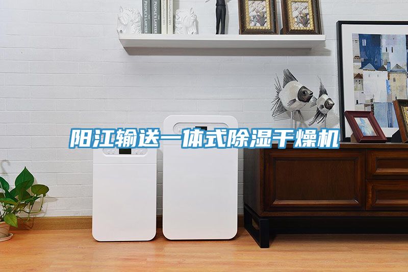 陽(yáng)江輸送一體式除濕干燥機(jī)